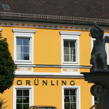 بيت ضيافة Gruenling Wallsee